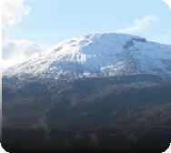 Manizales