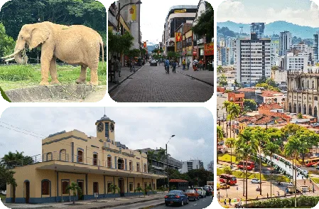 Pereira